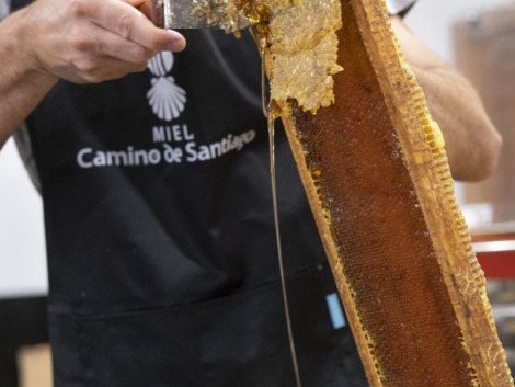 miel 100% pura de abeja