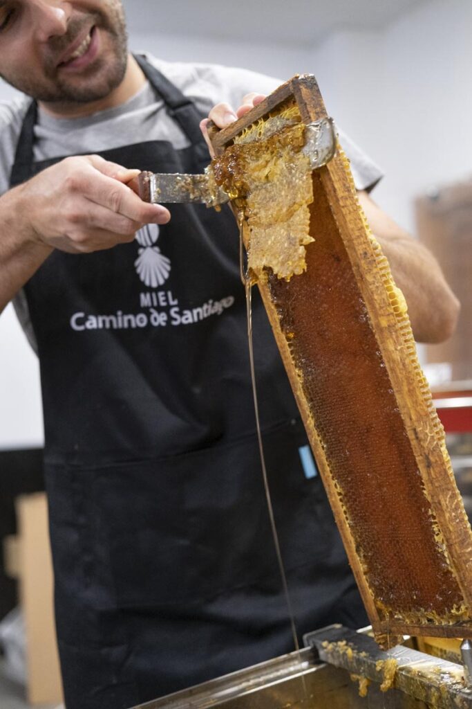 1Una_Pagina_en_Blanco-Miel_Camino_de-Santiago_Desoperculado_y_envasado-2-de-10-683x1024-1.jpeg